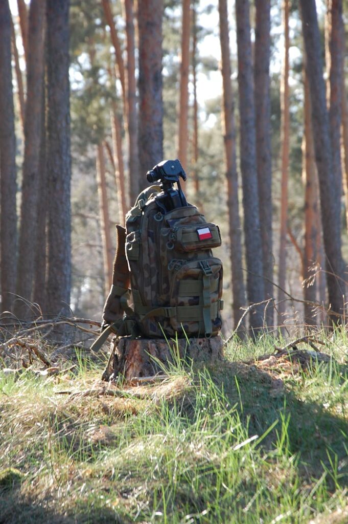 Camouflage backpack placed on a stump in a sunlit pine forest, symbolizing adventure.